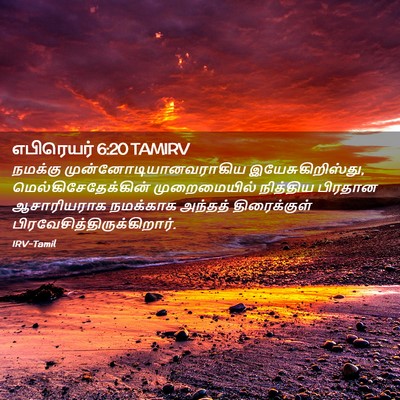 Picture 02 - எபிரெயர் 6:20 TAMIRV - நமக்கு - Bible Verse Picture
