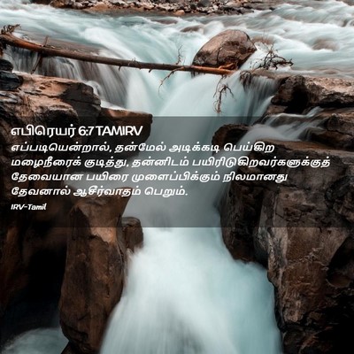 Picture 02 - எபிரெயர் 6:7 TAMIRV - எப்படியென்றால், - Bible Verse Picture
