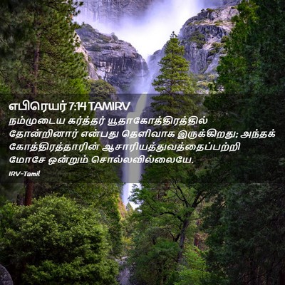Picture 02 - எபிரெயர் 7:14 TAMIRV - நம்முடைய கர்த்தர் - Bible Verse Picture