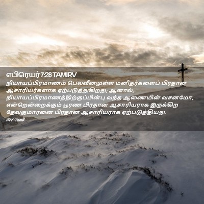 Picture 02 - எபிரெயர் 7:28 TAMIRV - நியாயப்பிரமாணம் - Bible Verse Picture