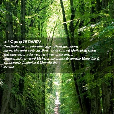 Picture 02 - எபிரெயர் 7:5 TAMIRV - லேவியின் - Bible Verse Picture