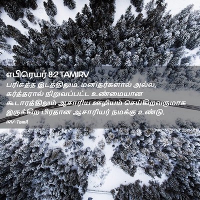 Picture 02 - எபிரெயர் 8:2 TAMIRV - பரிசுத்த - Bible Verse Picture
