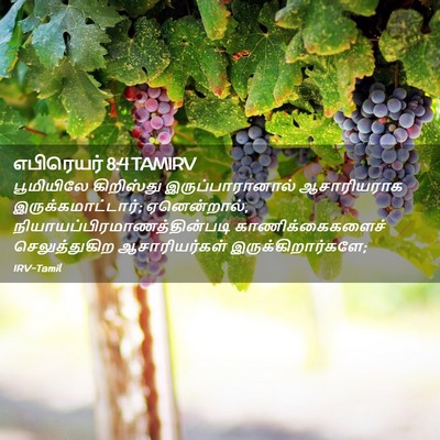 Picture 02 - எபிரெயர் 8:4 TAMIRV - பூமியிலே கிறிஸ்து - Bible Verse Picture