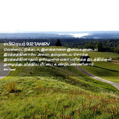 Picture 02 - எபிரெயர் 9:12 TAMIRV - வெள்ளாட்டுக்கடா, - Bible Verse Picture