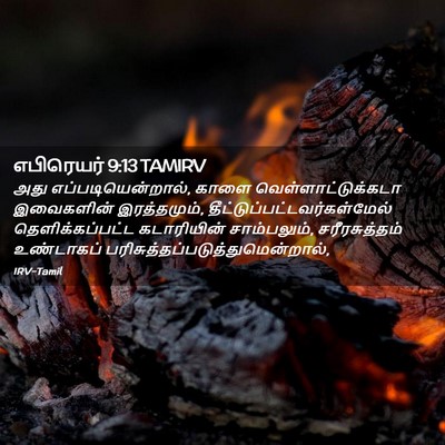 Picture 02 - எபிரெயர் 9:13 TAMIRV - அது - Bible Verse Picture