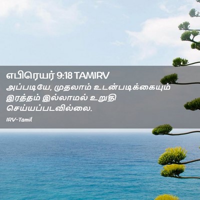 Picture 02 - எபிரெயர் 9:18 TAMIRV - அப்படியே, முதலாம் - Bible Verse Picture