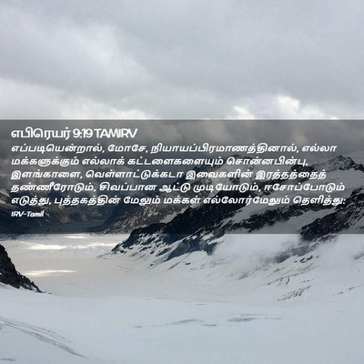 Picture 02 - எபிரெயர் 9:19 TAMIRV - எப்படியென்றால், - Bible Verse Picture