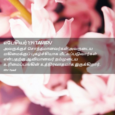 Picture 02 - எபேசியர் 1:14 TAMIRV - அவருக்குச் - Bible Verse Picture