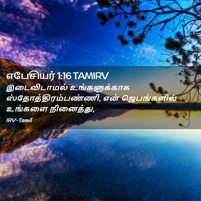 Picture 02 - எபேசியர் 1:16 TAMIRV - இடைவிடாமல் - Bible Verse Picture