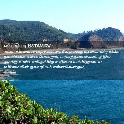 Picture 02 - எபேசியர் 1:18 TAMIRV - அவர் நம்மை - Bible Verse Picture