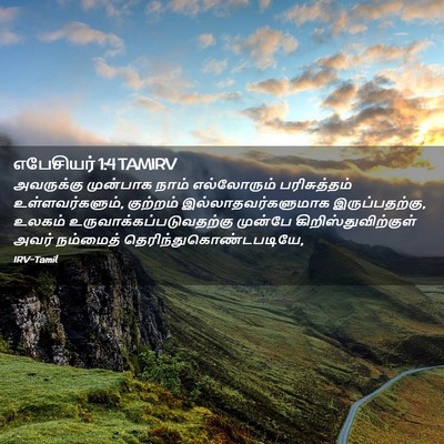 Picture 02 - எபேசியர் 1:4 TAMIRV - அவருக்கு முன்பாக - Bible Verse Picture