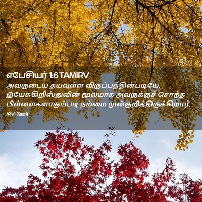 Picture 02 - எபேசியர் 1:6 TAMIRV - அவருடைய தயவுள்ள - Bible Verse Picture