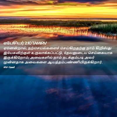 Picture 02 - எபேசியர் 2:10 TAMIRV - ஏனென்றால், - Bible Verse Picture