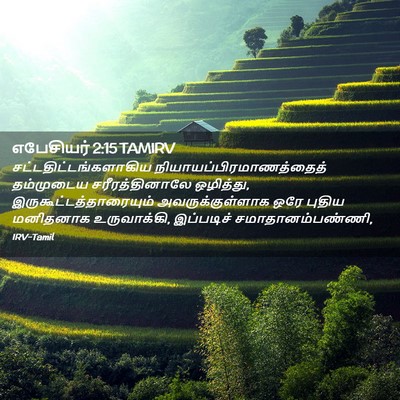 Picture 02 - எபேசியர் 2:15 TAMIRV -  - Bible Verse Picture