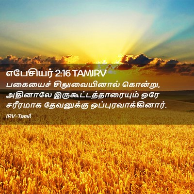 Picture 02 - எபேசியர் 2:16 TAMIRV - பகையைச் - Bible Verse Picture
