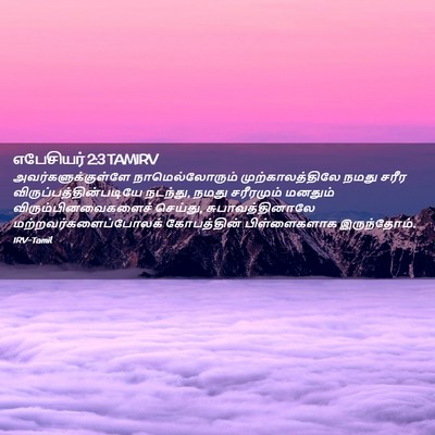 Picture 02 - எபேசியர் 2:3 TAMIRV - அவர்களுக்குள்ளே - Bible Verse Picture
