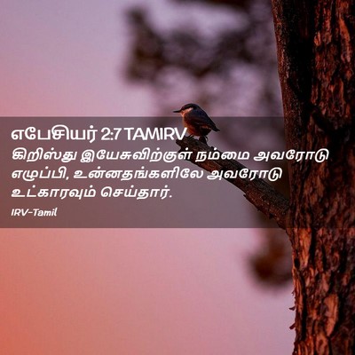 Picture 02 - எபேசியர் 2:7 TAMIRV - கிறிஸ்து - Bible Verse Picture