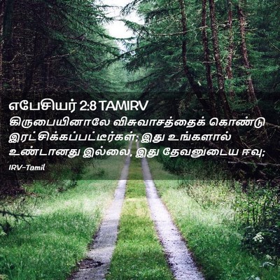 Picture 02 - எபேசியர் 2:8 TAMIRV - கிருபையினாலே - Bible Verse Picture