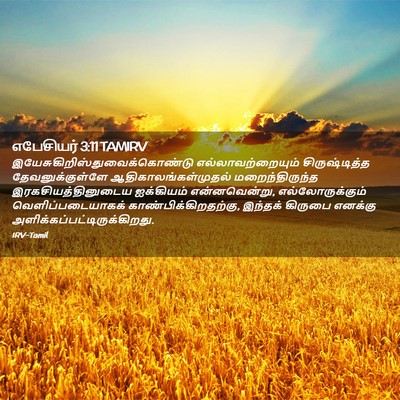 Picture 02 - எபேசியர் 3:11 TAMIRV -  - Bible Verse Picture