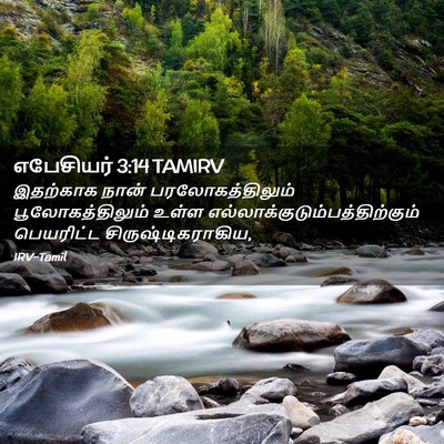 Picture 02 - எபேசியர் 3:14 TAMIRV - இதற்காக நான் - Bible Verse Picture
