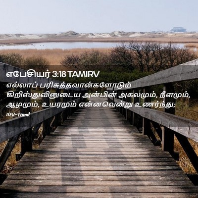 Picture 02 - எபேசியர் 3:18 TAMIRV - எல்லாப் - Bible Verse Picture