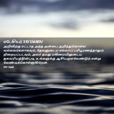 Picture 02 - எபேசியர் 3:19 TAMIRV - அறிவிற்கு எட்டாத - Bible Verse Picture