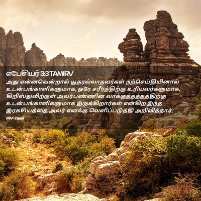 Picture 02 - எபேசியர் 3:3 TAMIRV - அது என்னவென்றால் - Bible Verse Picture