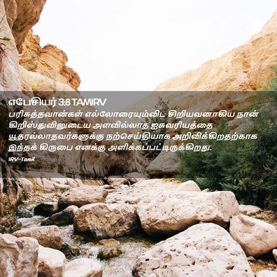Picture 02 - எபேசியர் 3:8 TAMIRV - பரிசுத்தவான்கள் - Bible Verse Picture