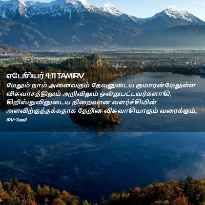Picture 02 - எபேசியர் 4:11 TAMIRV - மேலும் நாம் - Bible Verse Picture