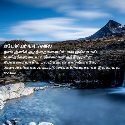 Picture 02 - எபேசியர் 4:14 TAMIRV - நாம் இனிக் - Bible Verse Picture