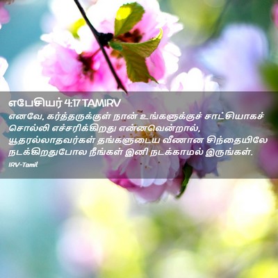Picture 02 - எபேசியர் 4:17 TAMIRV - எனவே, - Bible Verse Picture