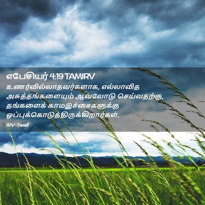 Picture 02 - எபேசியர் 4:19 TAMIRV -  - Bible Verse Picture