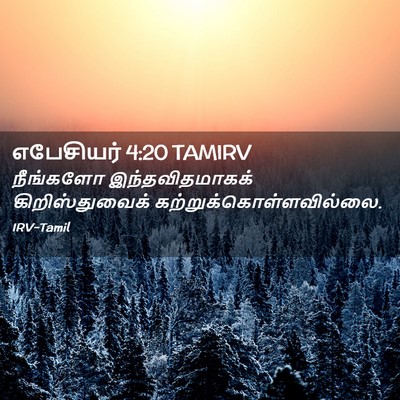 Picture 02 - எபேசியர் 4:20 TAMIRV - நீங்களோ - Bible Verse Picture