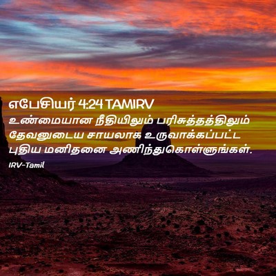 Picture 02 - எபேசியர் 4:24 TAMIRV - உண்மையான - Bible Verse Picture