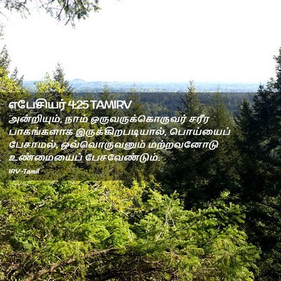 Picture 02 - எபேசியர் 4:25 TAMIRV - அன்றியும், நாம் - Bible Verse Picture