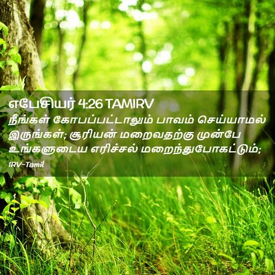 Picture 02 - எபேசியர் 4:26 TAMIRV - நீங்கள் - Bible Verse Picture