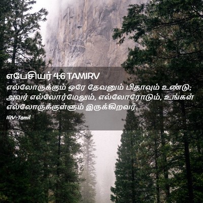 Picture 02 - எபேசியர் 4:6 TAMIRV - எல்லோருக்கும் ஒரே - Bible Verse Picture