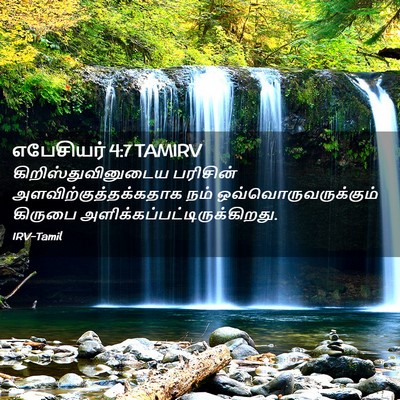 Picture 02 - எபேசியர் 4:7 TAMIRV - கிறிஸ்துவினுடைய - Bible Verse Picture