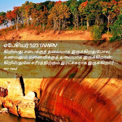 Picture 02 - எபேசியர் 5:23 TAMIRV - கிறிஸ்து - Bible Verse Picture