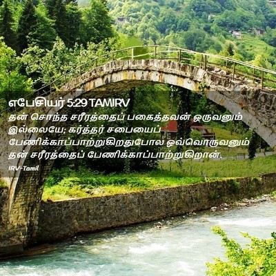 Picture 02 - எபேசியர் 5:29 TAMIRV - தன் சொந்த - Bible Verse Picture