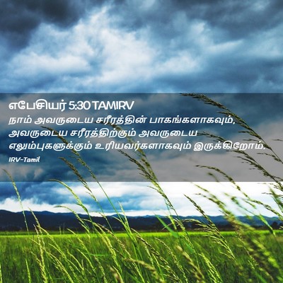 Picture 02 - எபேசியர் 5:30 TAMIRV - நாம் அவருடைய - Bible Verse Picture