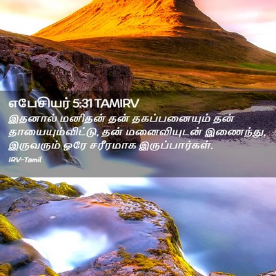 Picture 02 - எபேசியர் 5:31 TAMIRV - இதனால் மனிதன் தன் - Bible Verse Picture