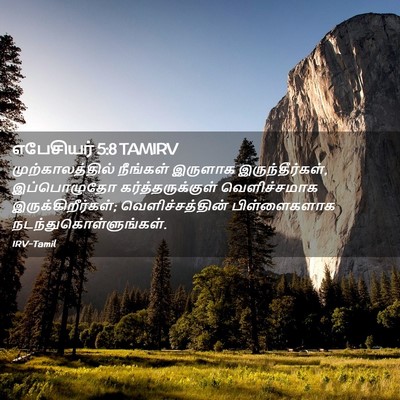 Picture 02 - எபேசியர் 5:8 TAMIRV - முற்காலத்தில் - Bible Verse Picture