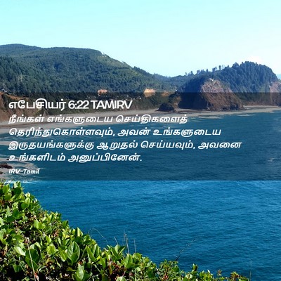 Picture 02 - எபேசியர் 6:22 TAMIRV - நீங்கள் எங்களுடைய - Bible Verse Picture
