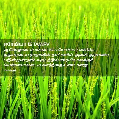 Picture 02 - எரேமியா 1:2 TAMIRV - ஆமோனுடைய மகனாகிய - Bible Verse Picture