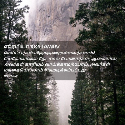 Picture 02 - எரேமியா 10:21 TAMIRV - மேய்ப்பர்கள் - Bible Verse Picture