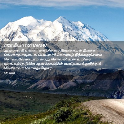 Picture 02 - எரேமியா 11:21 TAMIRV - ஆதலால் நீ எங்கள் - Bible Verse Picture