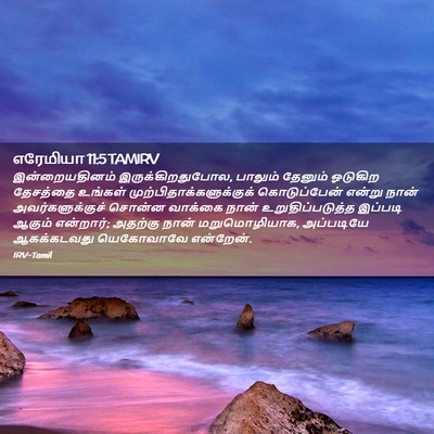 Picture 02 - எரேமியா 11:5 TAMIRV - இன்றையதினம் - Bible Verse Picture
