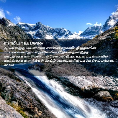 Picture 02 - எரேமியா 11:6 TAMIRV - அப்பொழுது யெகோவா - Bible Verse Picture