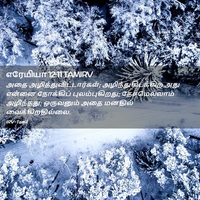 Picture 02 - எரேமியா 12:11 TAMIRV - அதை - Bible Verse Picture